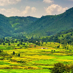 Holiday Packages - Nature Trails and Trekking